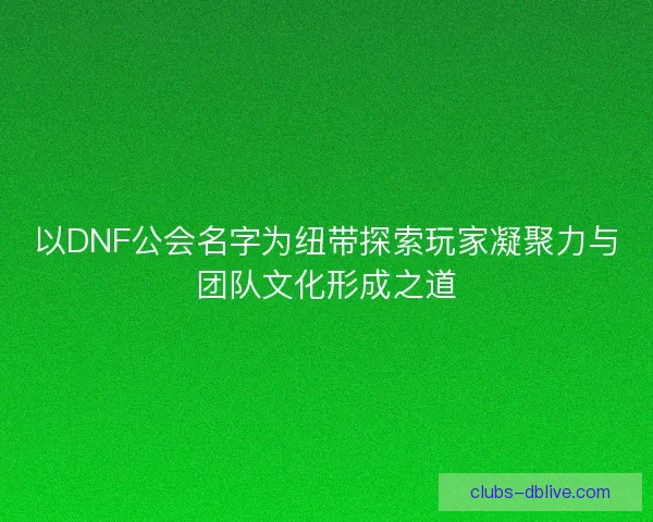 以DNF公会名字为纽带探索玩家凝聚力与团队文化形成之道